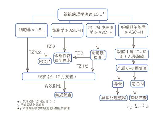 共识11.jpg