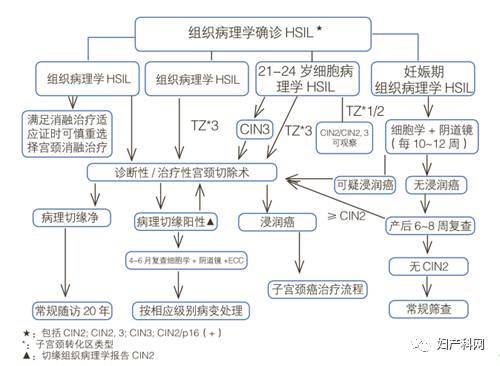 共识22.jpg