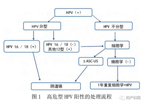 共识1.jpg